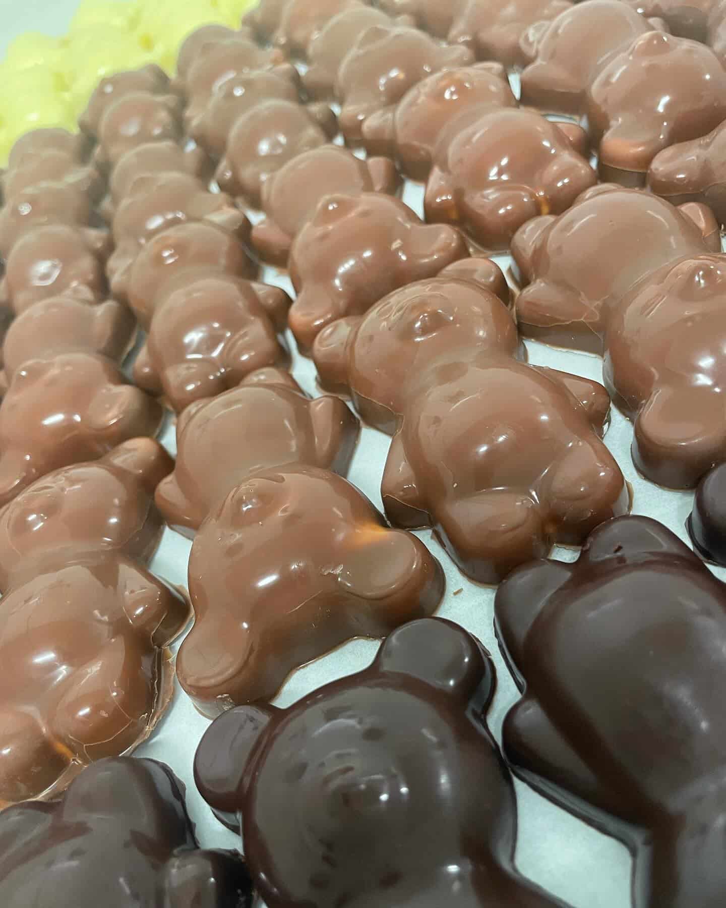 Multiples chocolats brillants en forme d'oursons, principalement au lait, avec quelques pièces en chocolat noir et un aperçu de garniture jaune clair.